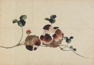 Magranes, finals del segle XVIII-principis del XIX. finlandès tekijältä Katsushika Hokusai