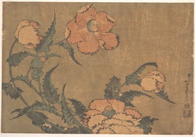 Tuulessa heiluvat unikonkukat tekijältä Katsushika Hokusai