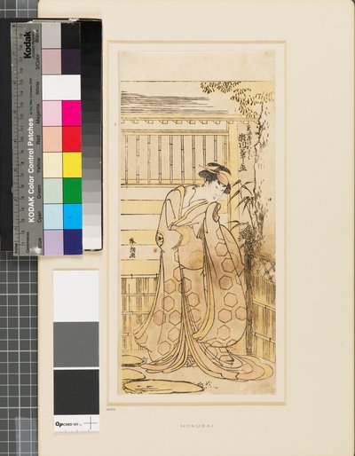 Segawa Kikinojō talon ulkopuolella näyttelemässä Hoso-ya-kurtisaanin roolia tekijältä Katsushika Hokusai