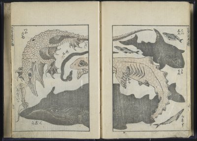 Luonnoslehti (puupiirros) tekijältä Katsushika Hokusai