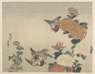 Varpuset ja krysanteemit tekijältä Katsushika Hokusai