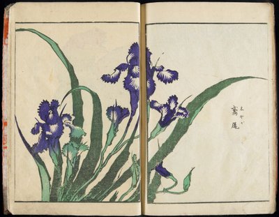 Hengen välittäminen ja asioiden muodon paljastaminen: Hokusain kuvapuutarha, osa 1, kokonaisuudessaan tekijältä Katsushika Hokusai