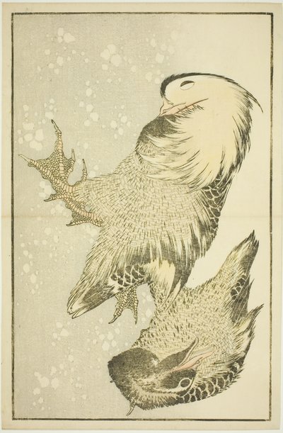 Kaksi vesilintua Hokusain realististen maalausten kuvakirjasta (Hokusai shashin gafu) tekijältä Katsushika Hokusai