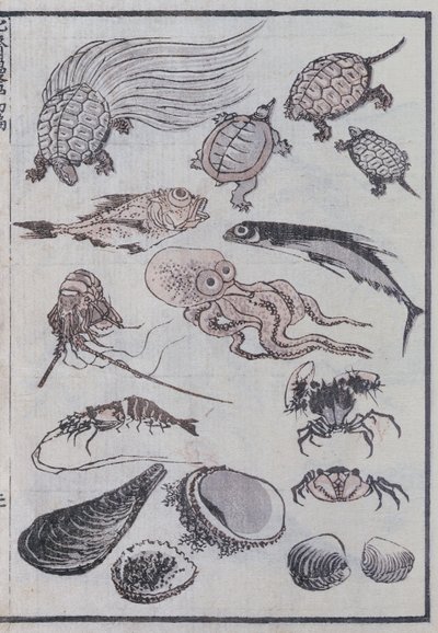 Vedenalaiset olennot Mangasta (värillinen puupalikkaprintti) tekijältä Katsushika Hokusai