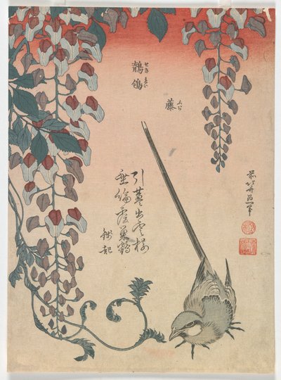 Wagtail ja Wisteria, Edo-kausi, 1834 (värillinen puupalikkaprintti) tekijältä Katsushika Hokusai