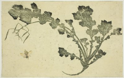 Ampiaisen ja nauris varsi, "The Picture Book of Realistic Paintings of Hokusai (Hokusai shashin gafu)" tekijältä Katsushika Hokusai