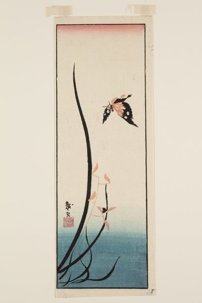 Perhonen ja ruoho (värillinen puupalikkaprintti) tekijältä Katsushika II (fl.1820 50) Taito