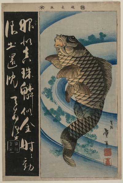 Karppi ja vesikasvit, n. 1830-luvun alku. tekijältä Katsushika Taito II