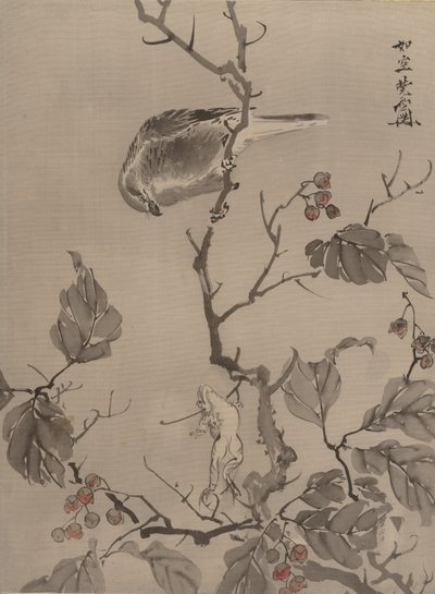 Lintu ja sammakko, n. 1887. tekijältä Kawanabe Kyosai