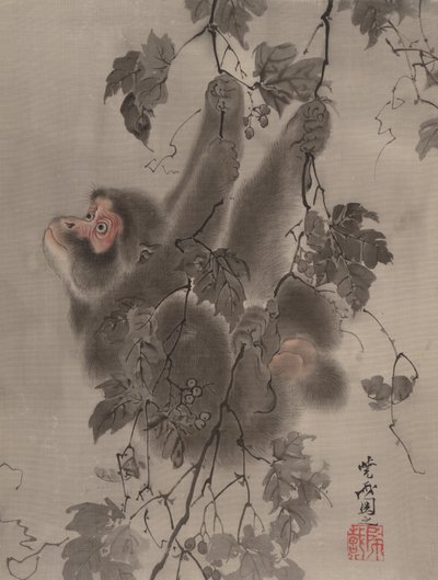 Grapevinesista riippuva apina, n. 1887. tekijältä Kawanabe Kyosai