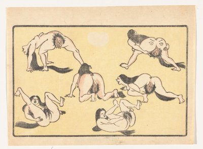 alastomia naisia The Big Tail (sarjan nimi) tekijältä Kawanabe Kyosai