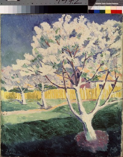 Kesäinen maisema. Maalaus: Kasimir Severinovich Malevich (Malevich, Malevic) (1878-1935), öljy kankaalle tekijältä Kazimir Severinovich Malevich