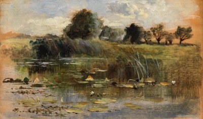 Selkävesi (öljy paneelille) tekijältä Keeley Halswelle