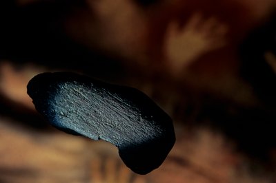 Arkeologia; Hominidit; Hominiini; Ihminen Ev - Homo sapien Sapiens; Ihmisen evoluutio; Jääkausi... tekijältä Kenneth Garrett