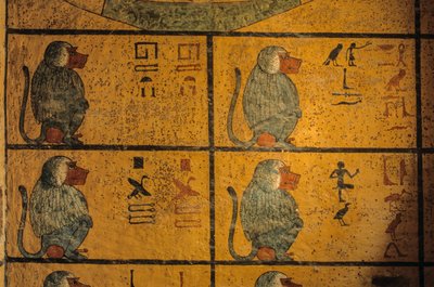 Paviaaneja, seinämaalaus kuningas Tutankhamonin haudassa; KV52, Kuninkaiden laakso, Theban..., 2003 (kuva) tekijältä Kenneth Garrett