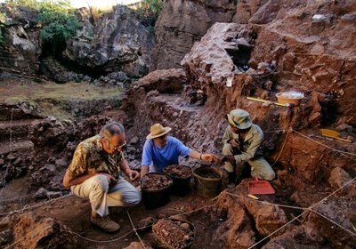 Drimolean Site, lähellä Johannesburgia, Etelä-Afrikka, 2 miljoonaa vuotta vanha hominidi. tekijältä Kenneth Garrett