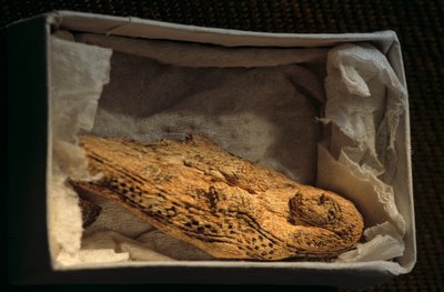 Naishahmo, predynastinen, Egypti, 2005 (kuva) tekijältä Kenneth Garrett