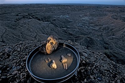 Lucyn lapsi, Zeray Alemseged, Australopithicus Afarensis, Etiopia, paleontologi,..., 2006 (kuva) tekijältä Kenneth Garrett
