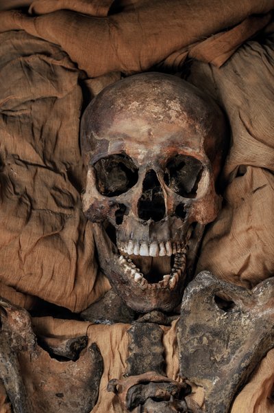 Kuningas Tut-kuninkaan isän Akenatenin muumio. tekijältä Kenneth Garrett