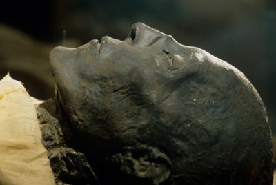 Seti I:n muumio, faarao 19. dynastia, Uusi valtakunta, 2002 (kuva). tekijältä Kenneth Garrett