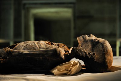 mm7864; 18. dynastia; Uusi valtakunta; Egypti; DNA; Näyte; Muumio, tuntematon muumio, 2005 (kuva) tekijältä Kenneth Garrett