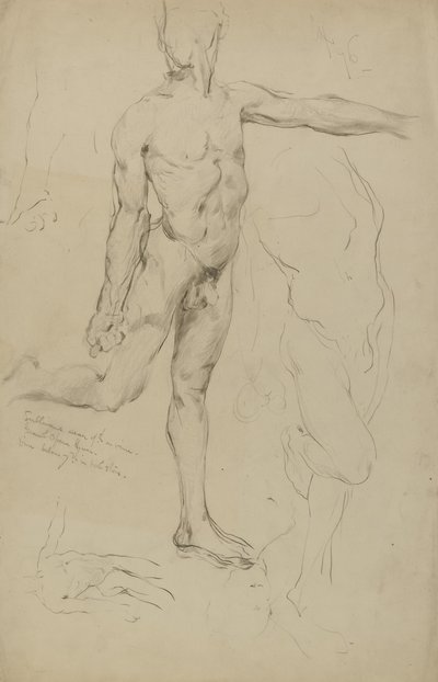 (Untitled) (Studies of Male Nudes) (Tutkimuksia miespuolisista alastonkuvista) tekijältä Kenyon Cox
