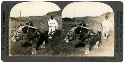Maanviljelyä lähellä Soulia, Etelä-Korea, 1900-luku. tekijältä Keystone View Company