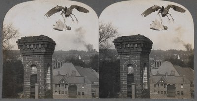 En temps vells, si la gent fos bona, la cigonya portaria un nadó dolç i just, 1907. finlandès tekijältä Keystone View Company