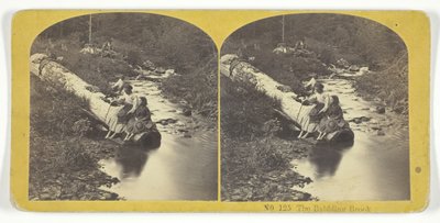 The Babbling Brook, 185575. Tekijät: Kilburn Brothers, BW Kilburn. tekijältä Kilburn Brothers, BW Kilburn