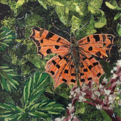 Flutter - Comma Butterfly On Japonica tekijältä Kirstie Adamson