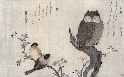 Pöllö ja kaksi itämaisen härkäpeppua, albumista "Linnut verrattuna huumorilauluihin, 100 ja 1000 linnun runokilpailu", 1791 (värillinen puupainatus) tekijältä Kitagawa Utamaro