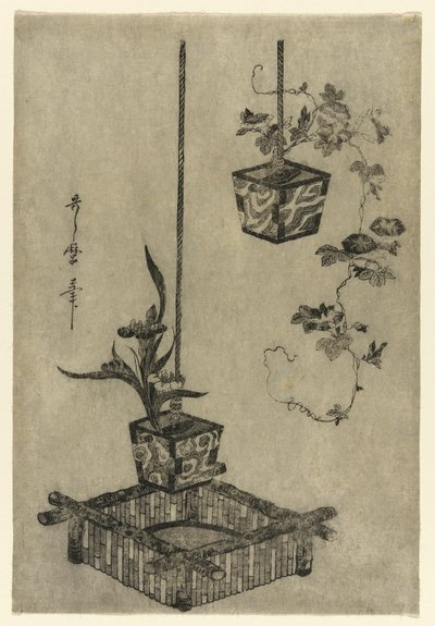 Irises- ja Morning Glories -järjestelyt tekijältä Kitagawa Utamaro