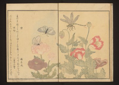 Perhosia ja sudenkorento lähellä unikkoja tekijältä Kitagawa Utamaro