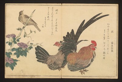 Kukko ja nukka tekijältä Kitagawa Utamaro