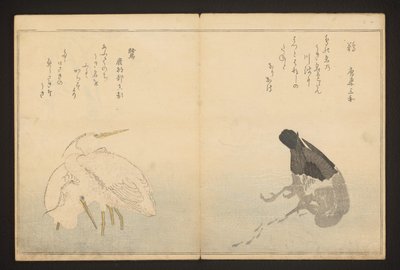 Merimetso ja haikara tekijältä Kitagawa Utamaro