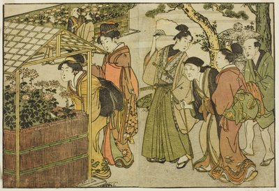 Krysanteemien näyttely kuvitetusta kirjasta "Kuvakirja: Neljän vuodenajan kukat (Ehon shiki no hana)," voi. 2 tekijältä Kitagawa Utamaro