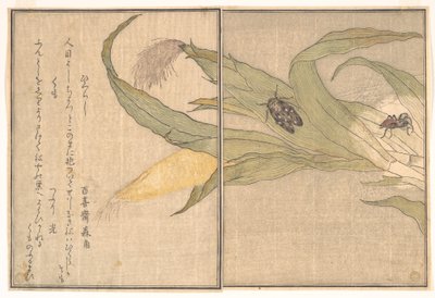  tekijältä Kitagawa Utamaro