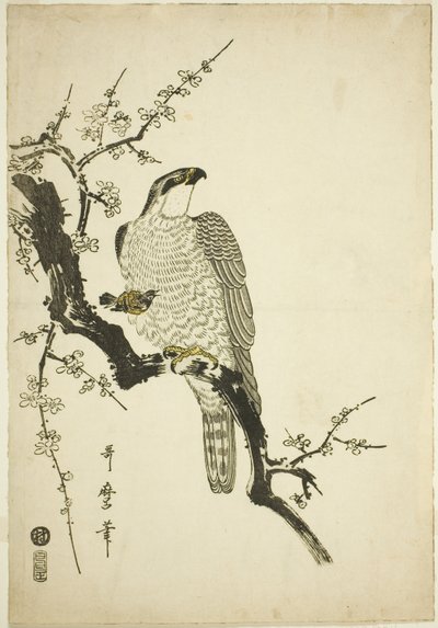Haukka luumun oksalla tekijältä Kitagawa Utamaro