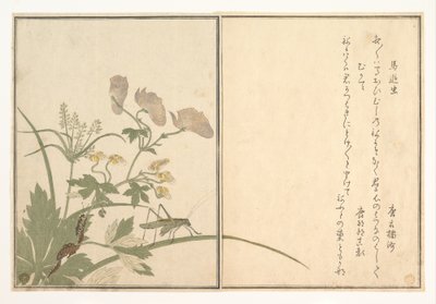  tekijältä Kitagawa Utamaro