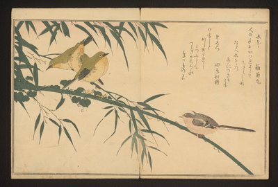 Pitkähäntätiainen ja valkosilmäinen tekijältä Kitagawa Utamaro