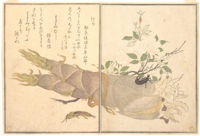 Maamyyräsirkka (Kera); pihtihäntäinen (Hasami-mushi), teoksesta Ryömivien olentojen kuvakirja (Ehon mushi erami) tekijältä Kitagawa Utamaro