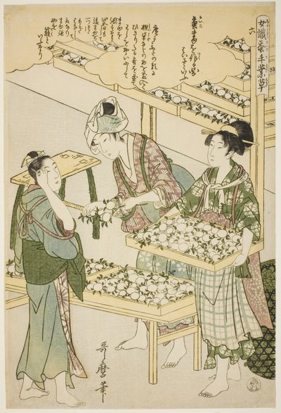 Nro 6 (roku), sarjasta "Naiset, jotka harjoittavat maataloutta (Joshoku kaiko tewaza-gusa)" tekijältä Kitagawa Utamaro