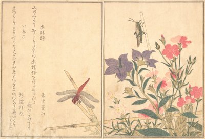 Red Dragonfly Akatonbo, Locust Inago..., 1788. tekijältä Kitagawa Utamaro