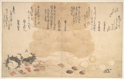 Simpukoita veden alla tekijältä Kitagawa Utamaro
