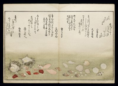 Shiohi no tsuto (lahjoja Ebb Tidesta), joka tunnetaan nimellä Shell Book, 1789 (värillinen puupainatus) tekijältä Kitagawa Utamaro