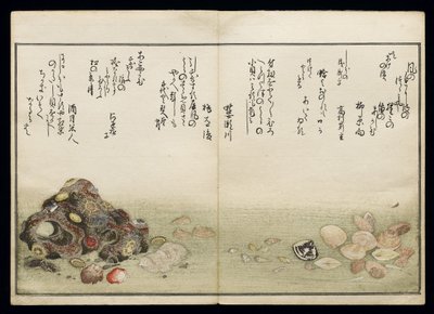 Shiohi no tsuto (lahjoja Ebb Tidesta), joka tunnetaan nimellä Shell Book, 1789 (värillinen puupainatus) tekijältä Kitagawa Utamaro