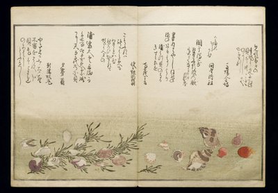 Shiohi no tsuto (lahjoja Ebb Tidesta), joka tunnetaan nimellä Shell Book, 1789 (värillinen puupainatus) tekijältä Kitagawa Utamaro