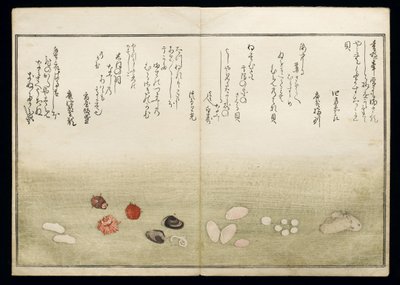 Shiohi no tsuto (lahjoja Ebb Tidesta), joka tunnetaan nimellä Shell Book, 1789 (värillinen puupainatus) tekijältä Kitagawa Utamaro