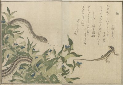 Käärme ja lisko, 1788 (värillinen puupainatus) tekijältä Kitagawa Utamaro