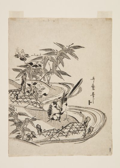 Sparrow (värillinen puupalikkaprintti) tekijältä Kitagawa Utamaro